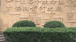 【景觀雕塑廠家】制作，多少錢，價格